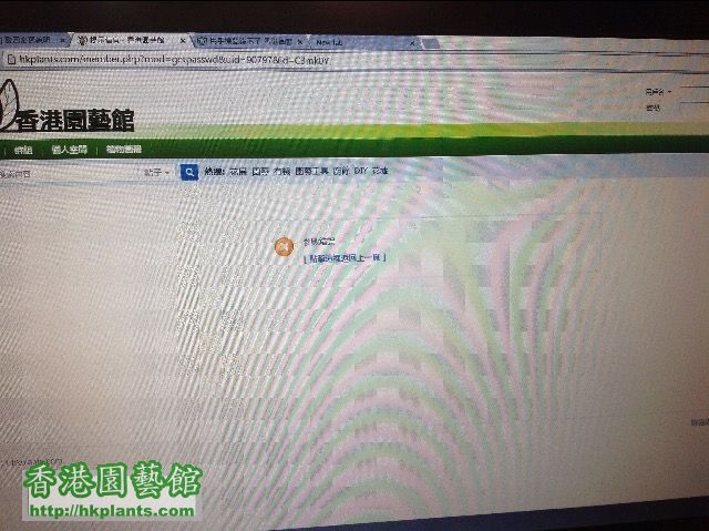 我明唔明兩個Password 一樣，不過佢話我錯⋯⋯