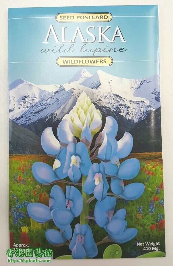 Alaska wild lupine seeds.jpg