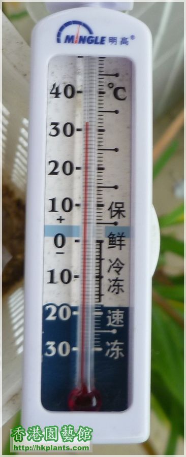 溫度-008-露台鐵閘.JPG