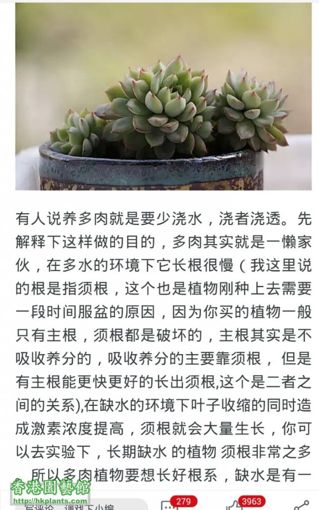 Screenshot_2016-06-23-10-45-53_com.taobao.taobao_1466651185938.jpg