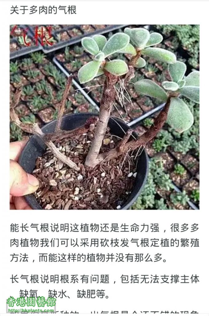 Screenshot_2016-06-25-08-27-36_com.taobao.taobao_1466814805523.jpg