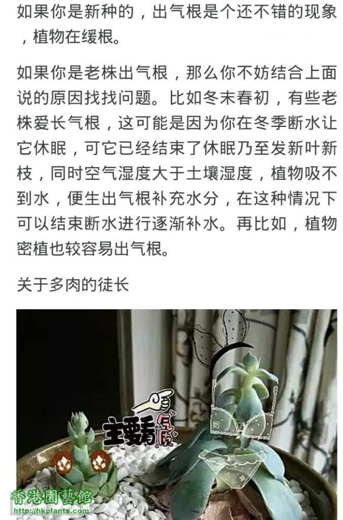 Screenshot_2016-06-25-08-27-54_com.taobao.taobao_1466814833540.jpg