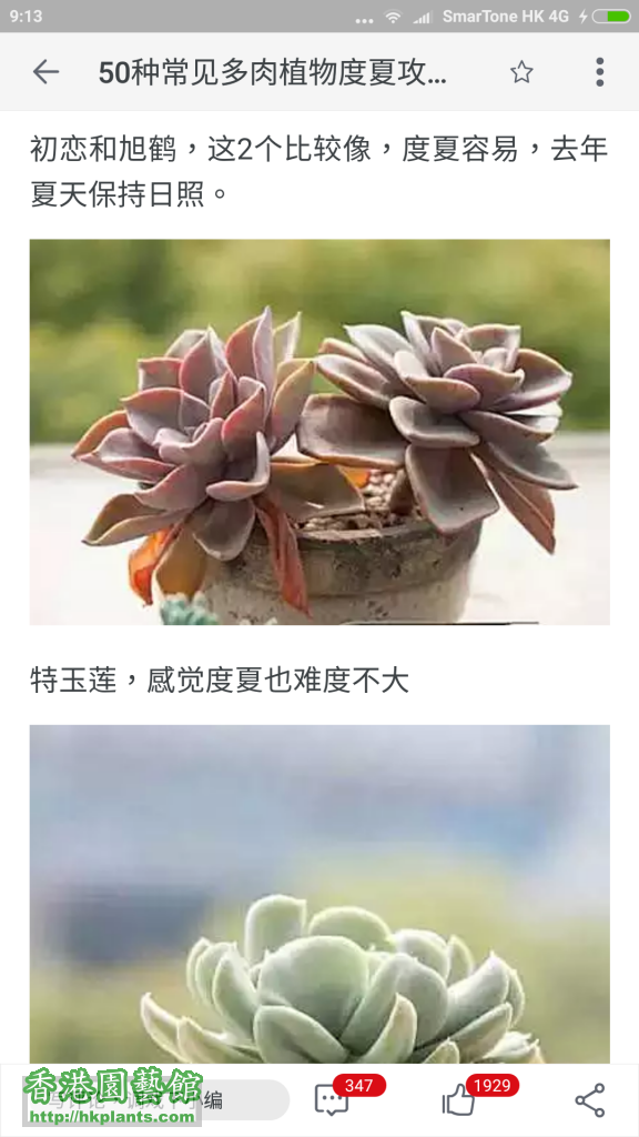 Screenshot_2016-07-17-09-13-45_com.taobao.taobao.png