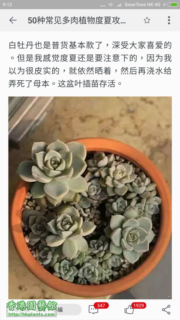 Screenshot_2016-07-17-09-12-58_com.taobao.taobao.png