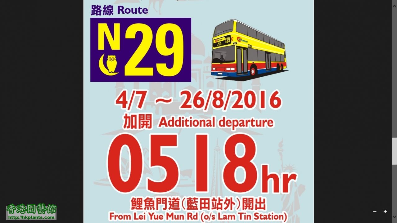 Bus N29.jpg