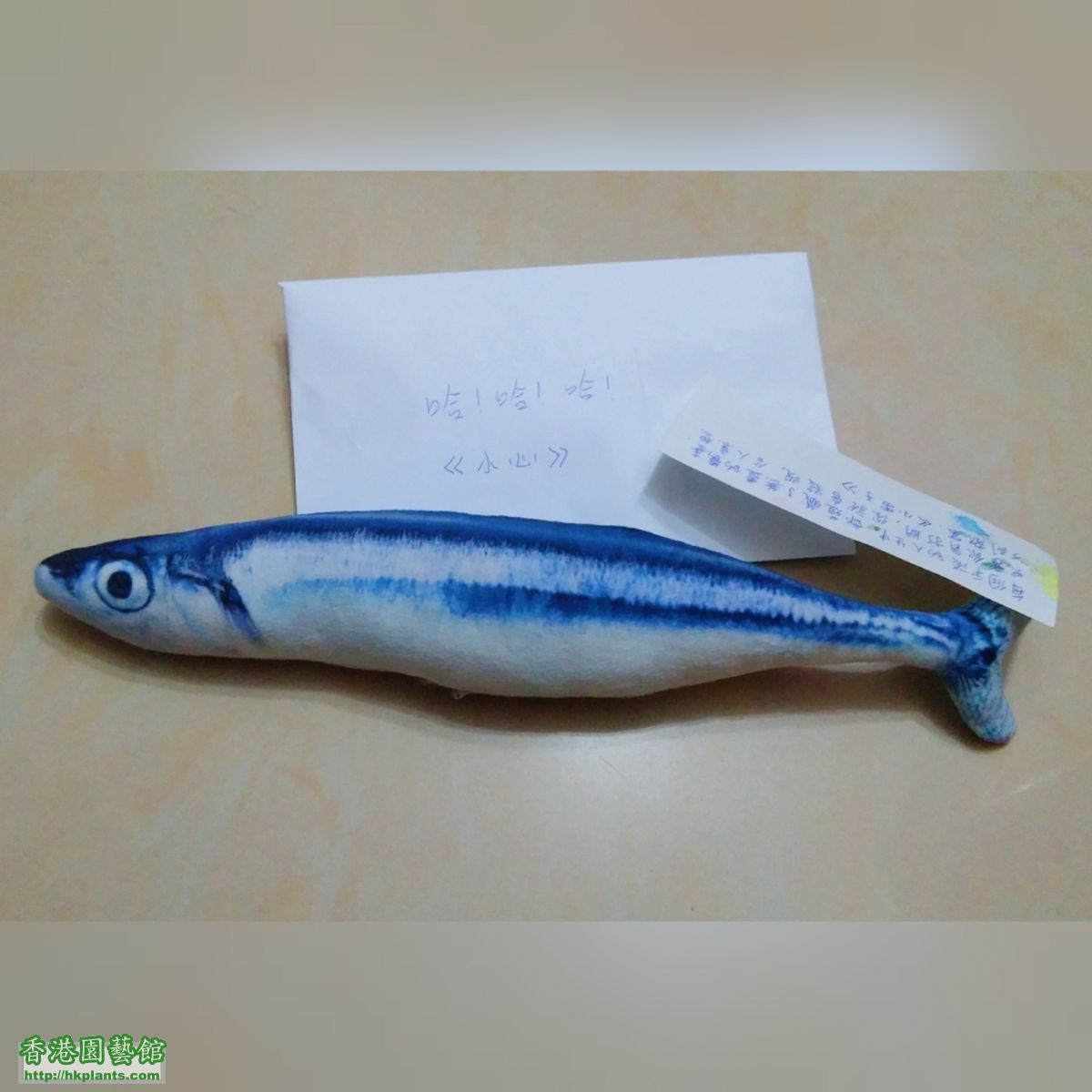 鹹魚的禮物.jpg