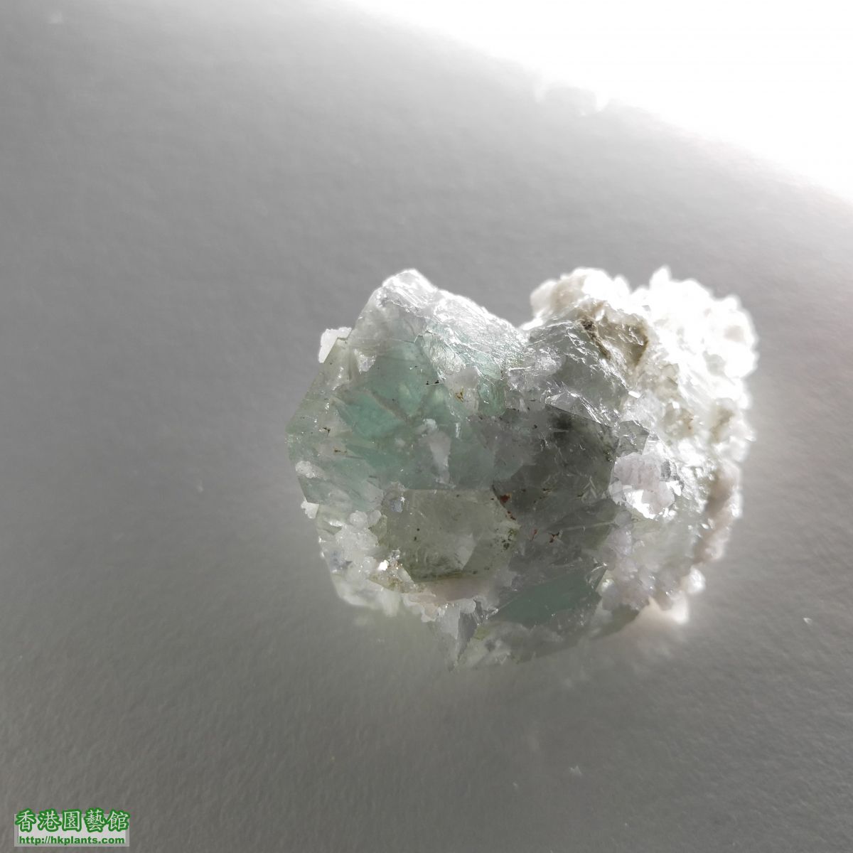 湖南green_fluorite1D.jpg