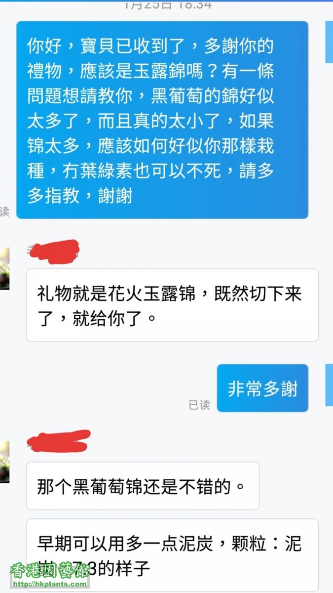 只簡單的回覆。