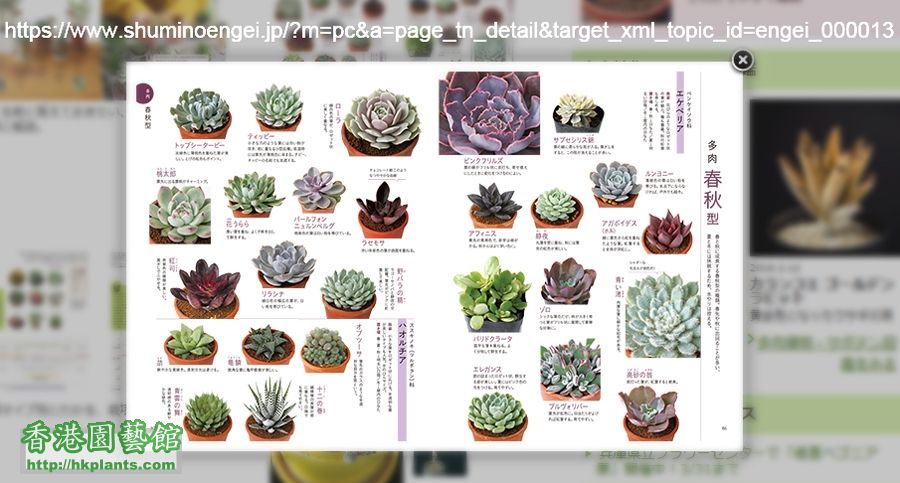 Succulent plant book