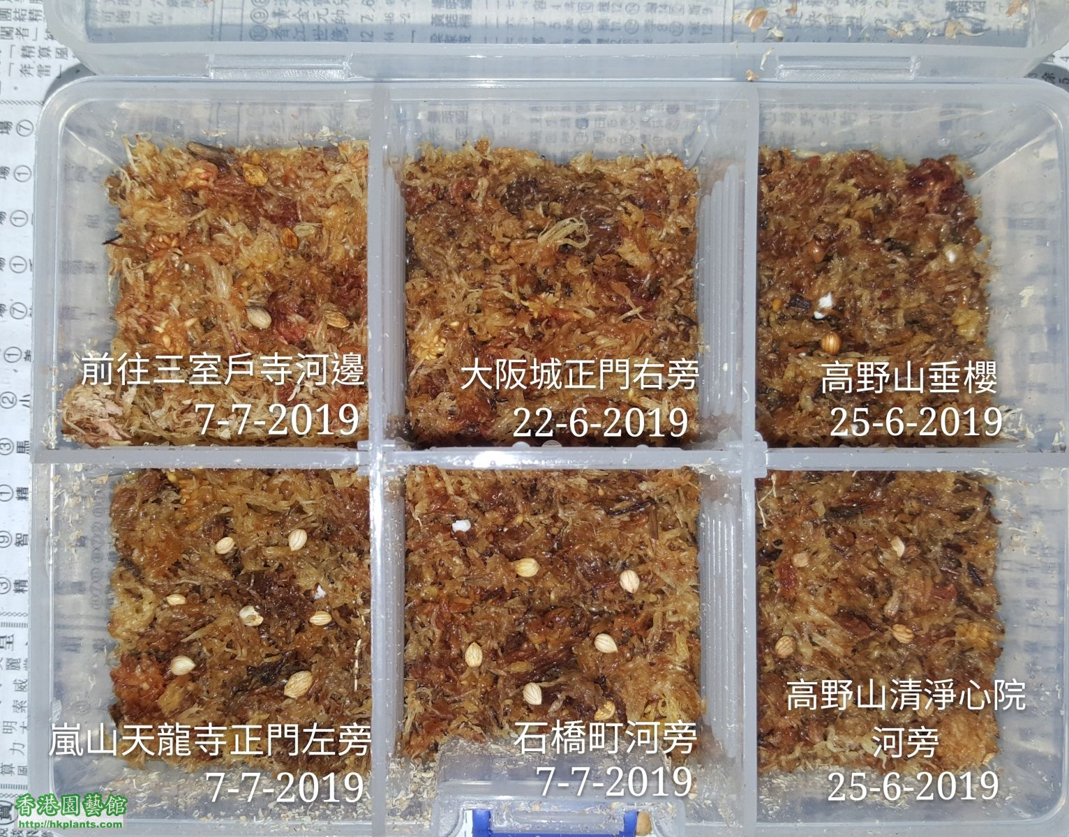 今次放落雪櫃，約10個星期後再睇睇