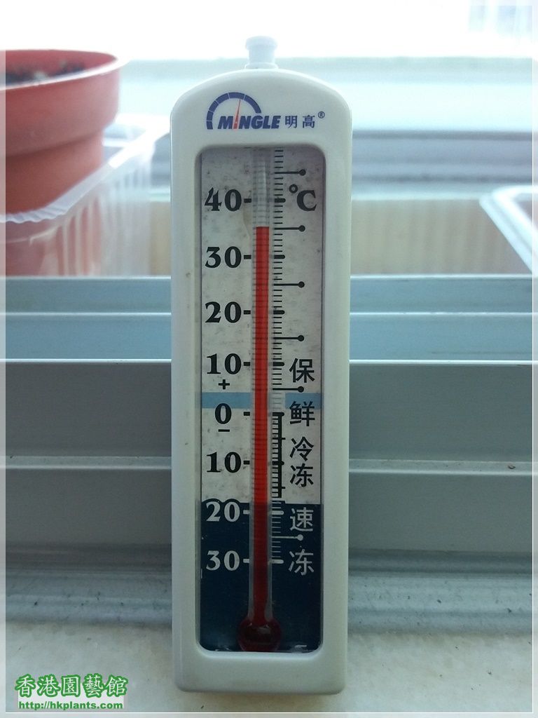 溫度-20160729-酷熱天氣，細房窗 35.jpg