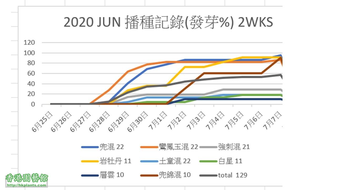 ２星期（％）