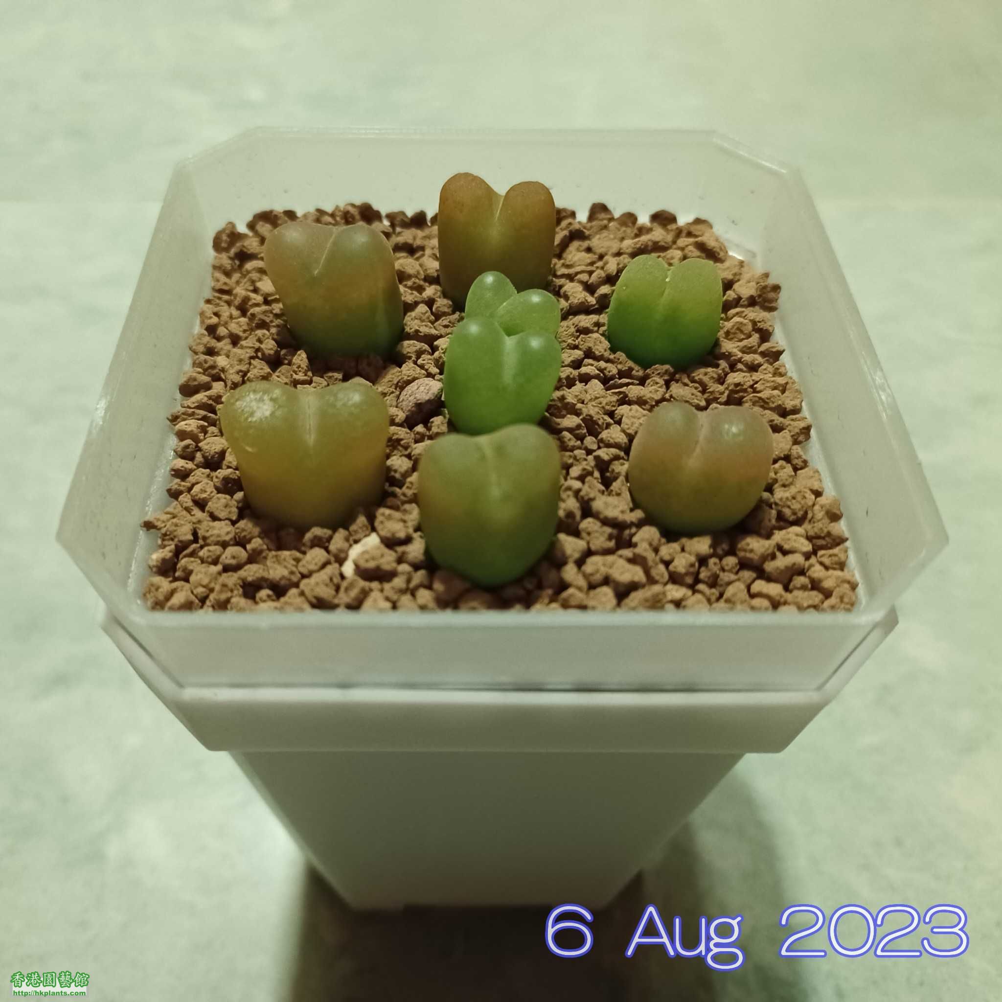 1000032423.jpg