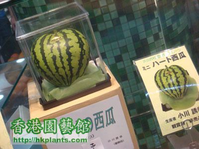fruits_heart_watermelon.jpg