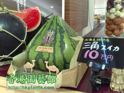 fruits_triangle_watermelon.jpg