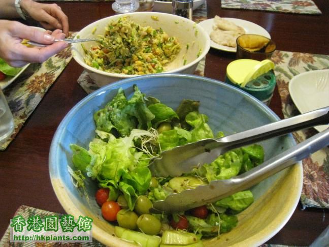 是日午餐都係食番後園岩岩摘嘅蔬菜, 好味!