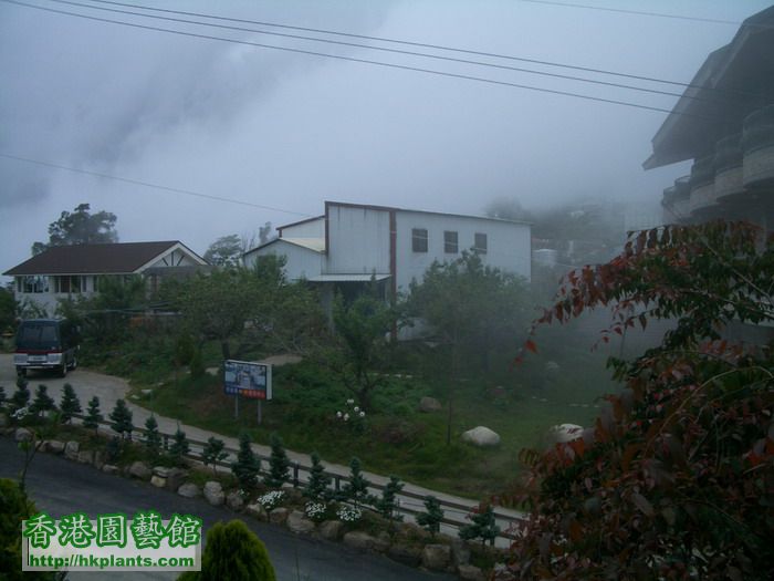 啲雲帶同啲雨水一齊過埋嚟