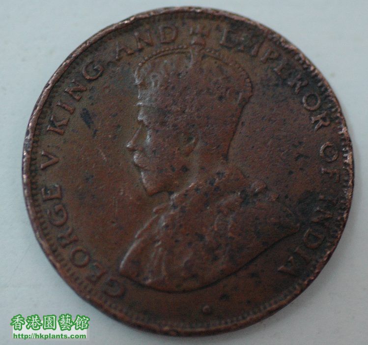 coin1933a.jpg