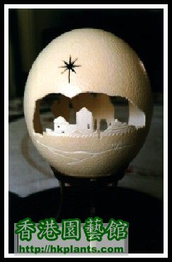 WHAT CAN YOU DO WITH AN EGG SHELL2.jpg