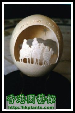 WHAT CAN YOU DO WITH AN EGG SHELL1.jpg