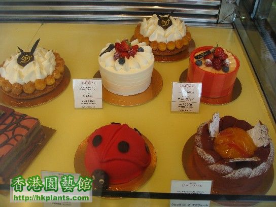 日本之旅 ( 自由之丘的蛋糕店 ).jpg