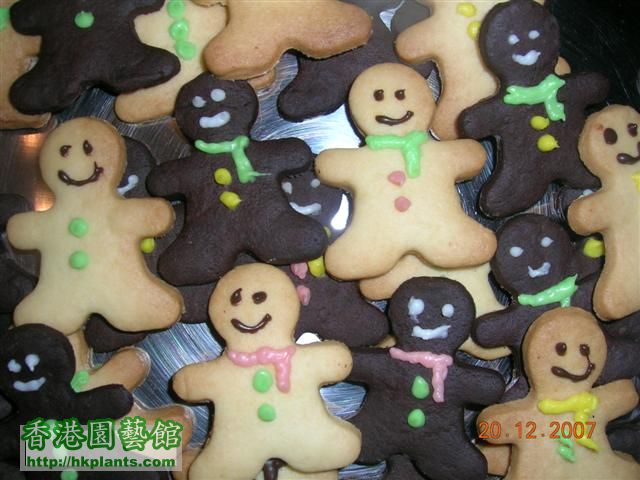 DSCN1877 cookies.JPG