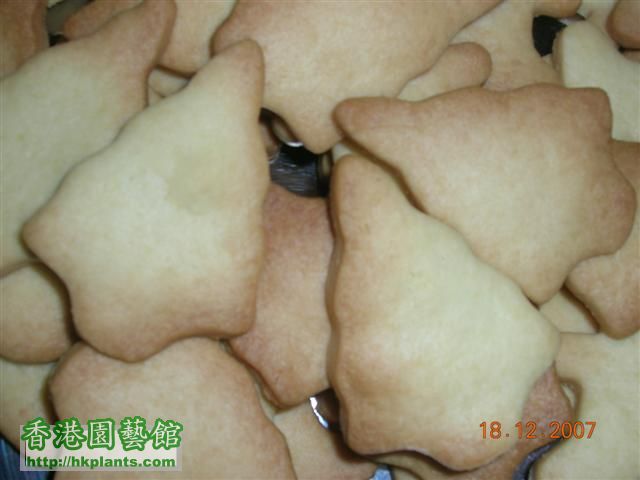 DSCN1852 cookies.JPG