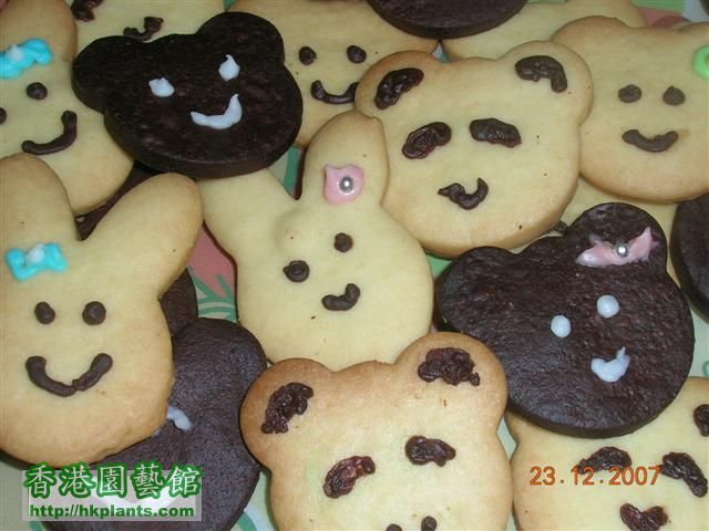 DSCN2039 cookies.JPG