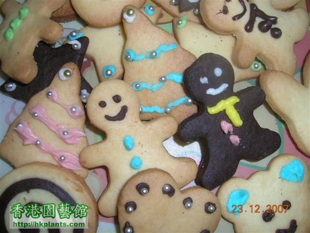 DSCN2041 cookies.JPG