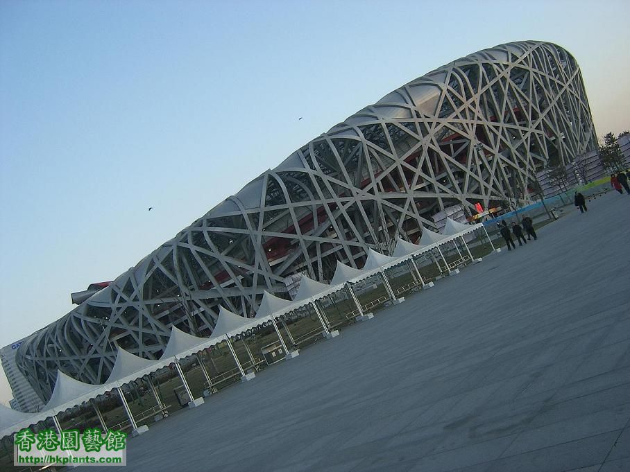 2008 奧林匹克主場