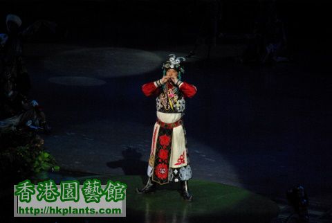 2009-10-5 藏族文化 (41).JPG