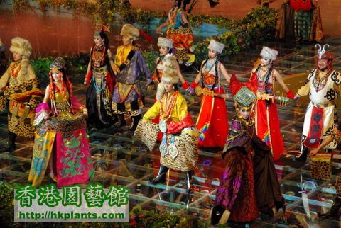 2009-10-5 藏族文化 (49).JPG