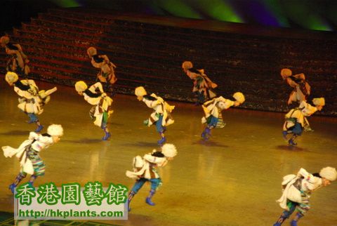 2009-10-5 藏族文化 (20).JPG