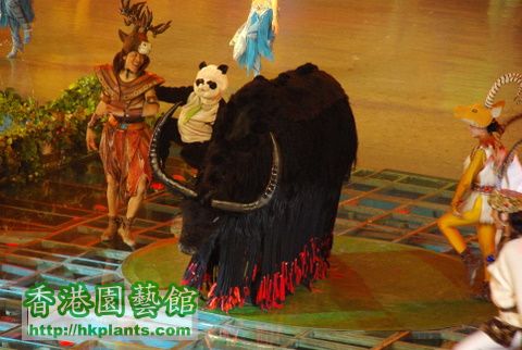 2009-10-5 藏族文化 (18).JPG