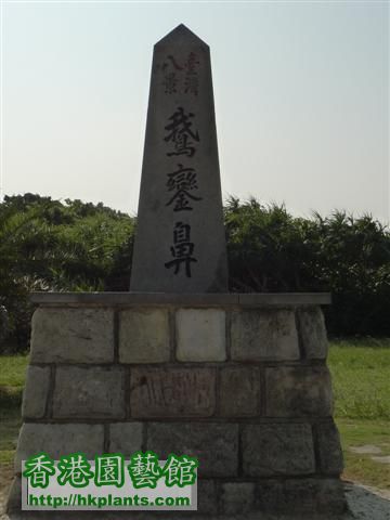 墾丁 -鵝鑾鼻公園 (8) (Small).JPG