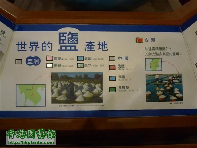 台南 -七股鹽博物館 (31) (Small).JPG