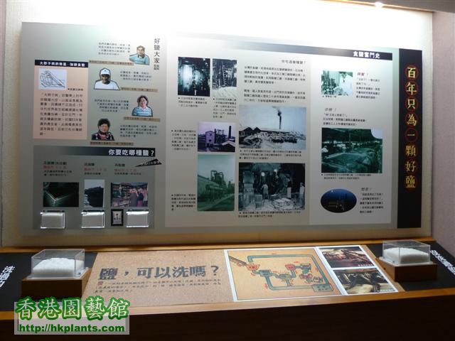 台南 -七股鹽博物館 (19) (Small).JPG