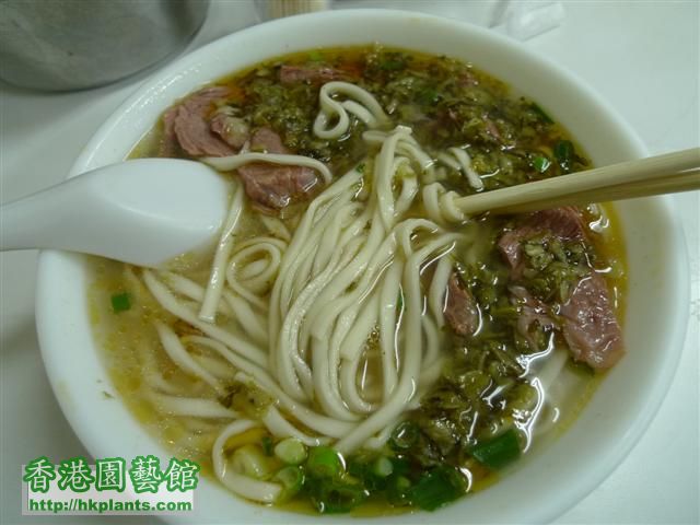 牛肉麵 (1) (Small).JPG