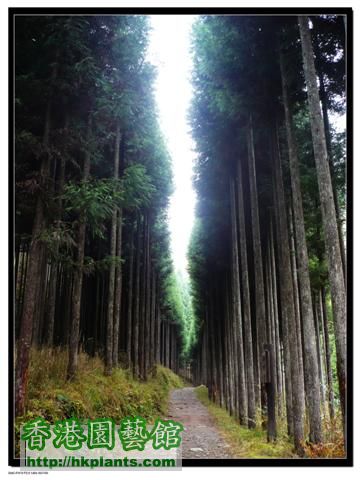 東海自然步道