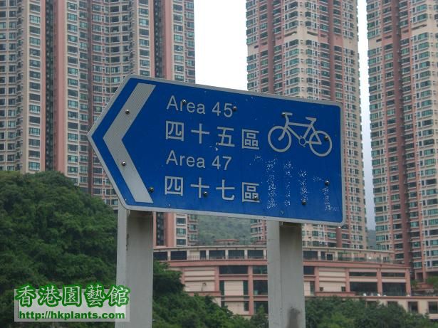 Area 45 & 47.JPG