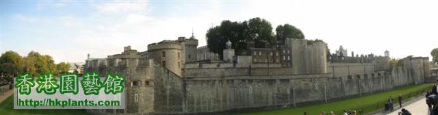 Tower of London 071020A (Small).jpg