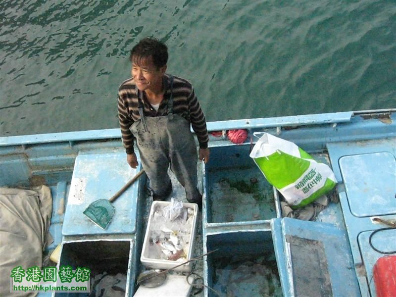 船家高興咁售賣魚穫,魚魚同蝦蝦都非常大