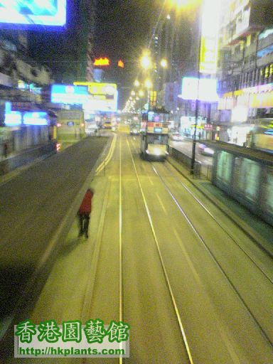 took by mobile.. @200dpi only.. at tram