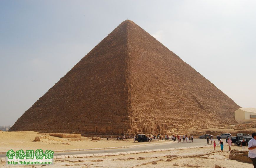 最大金字塔