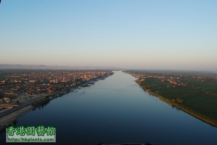 Balloon Trip River Nile.jpg