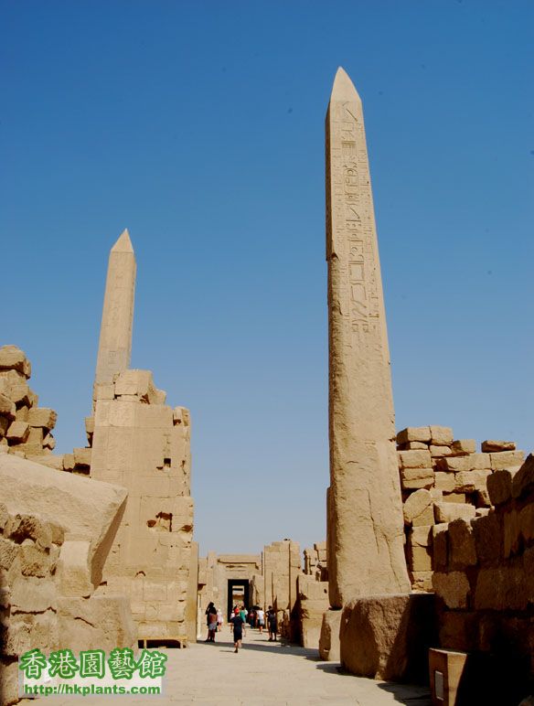 Karnak Temple Obelisk.jpg