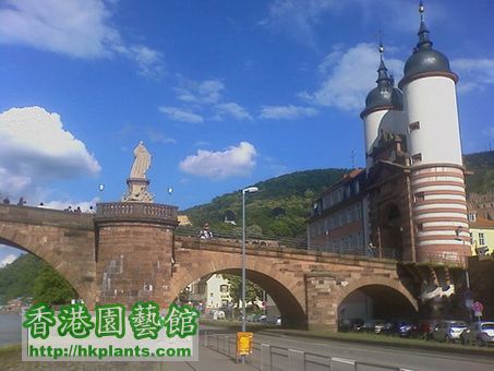 June 18@Heidelberg (131).jpg