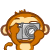 monkey -- 影相.gif