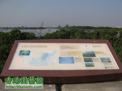 2008-11-20逢吉、南生圍 023a.JPG