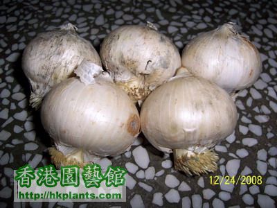 照片 090(400).jpg